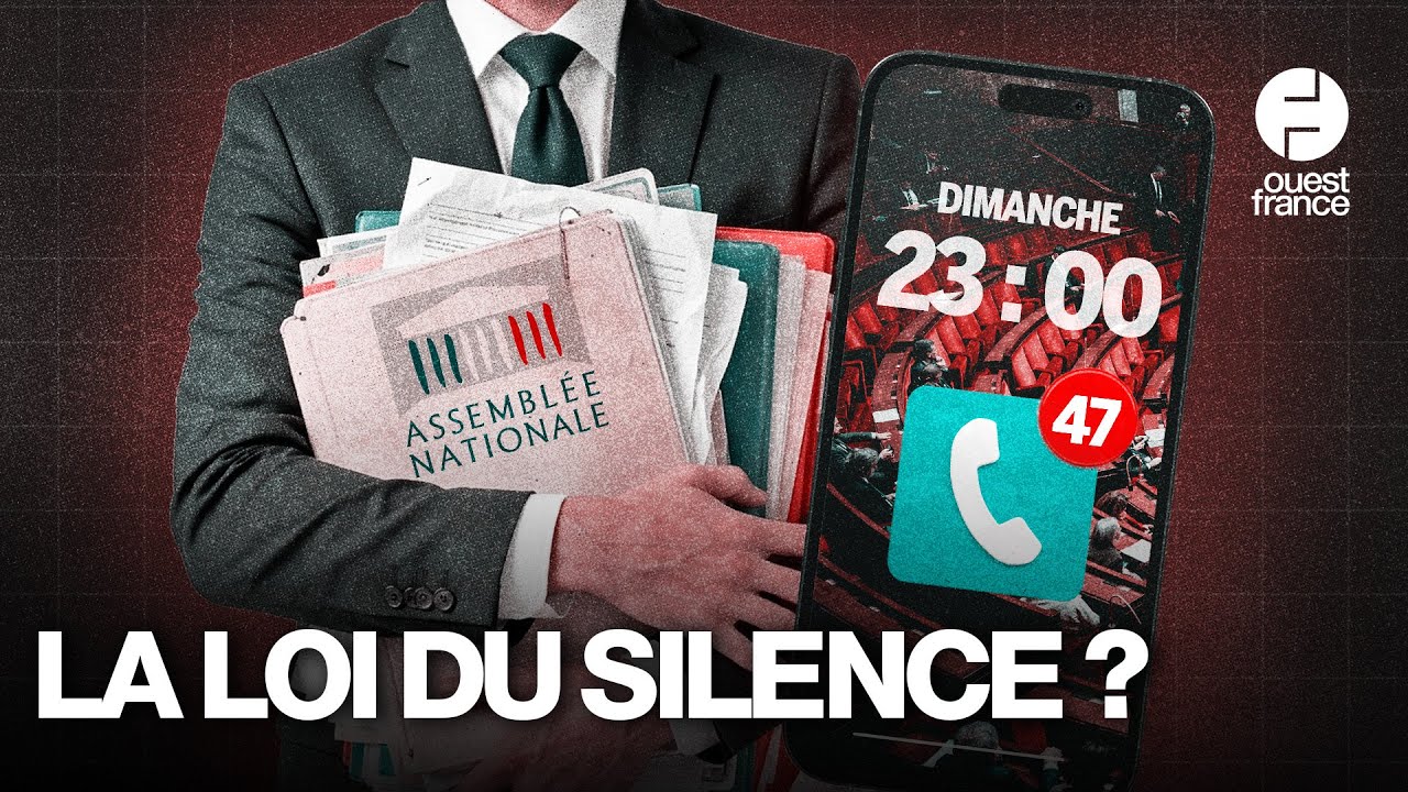 Comment l’Assemblée nationale détruit une partie de ses collaborateurs – Enquête