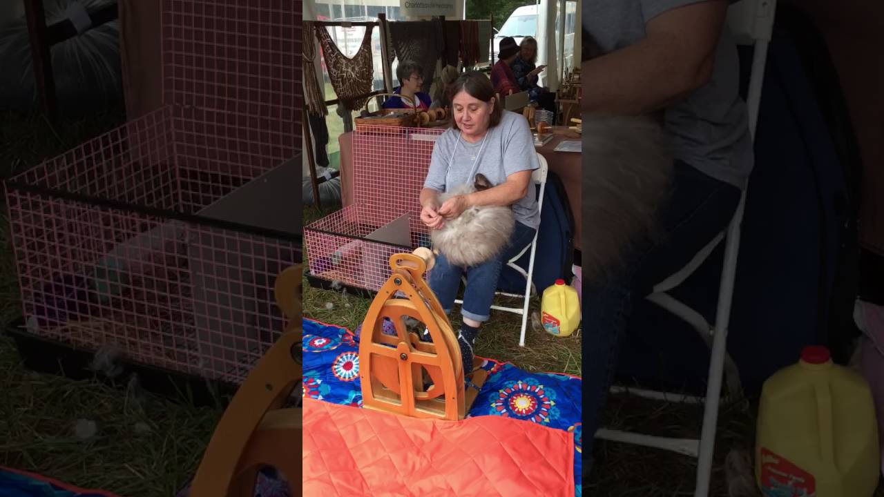 A Woman Spins Angora Fiber Straight from the Rabbit