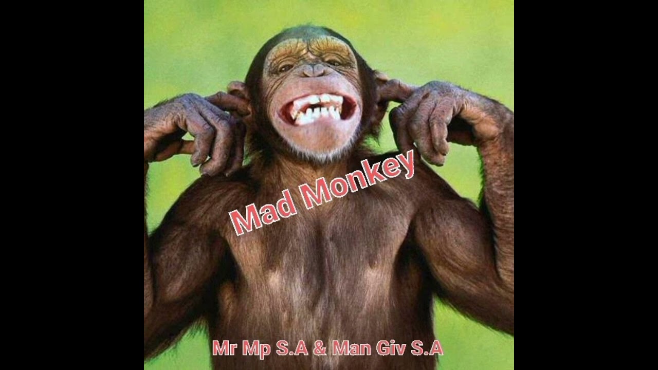 Mad Monkey-Mr Mp S.A & Man Giv S.A