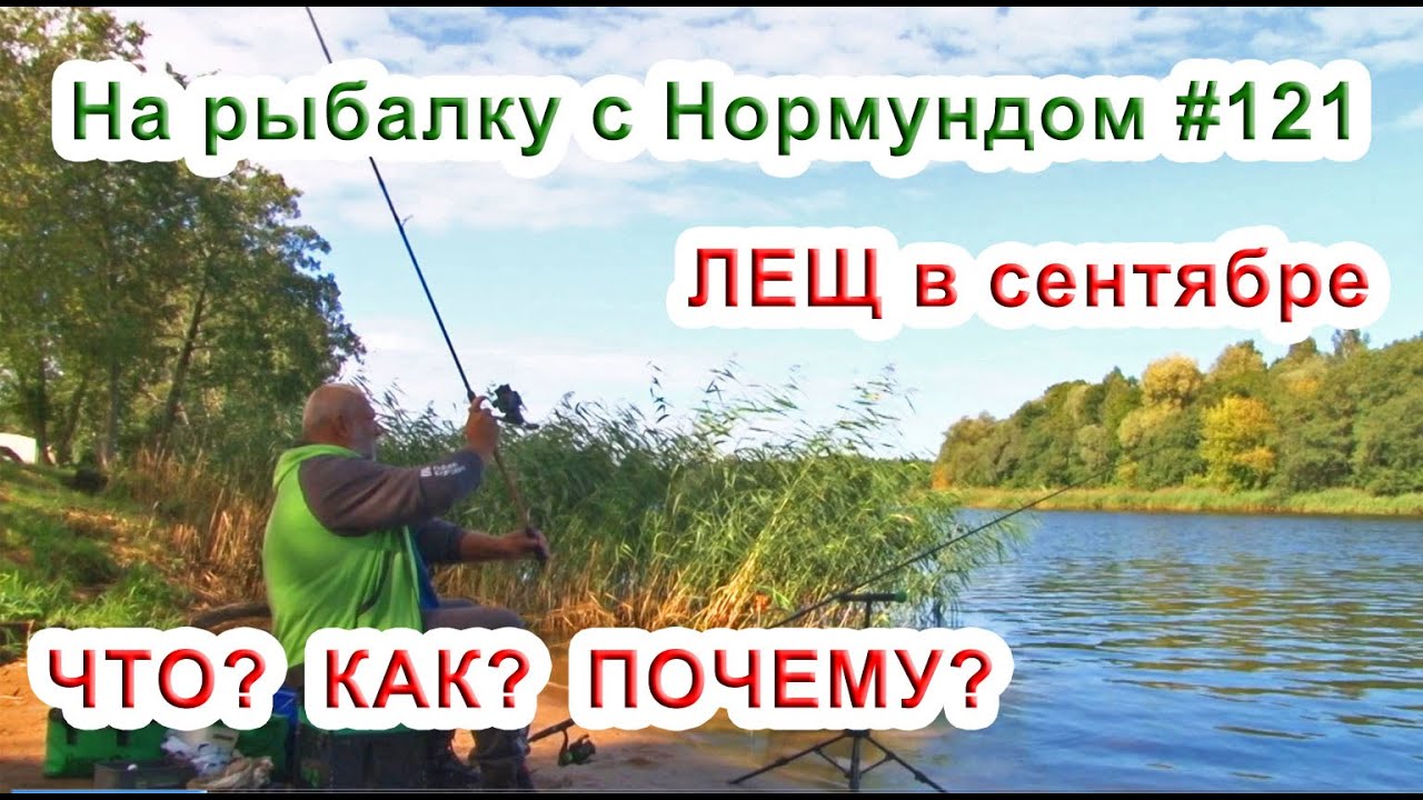 ЛЕЩ в сентябре. ЧТО? КАК? ПОЧЕМУ? / На рыбалку с Нормундом #121