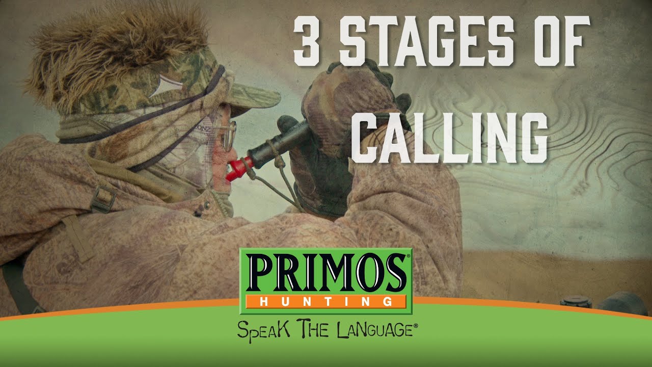 Randy Anderson's 3 Stages of Calling in Coyotes