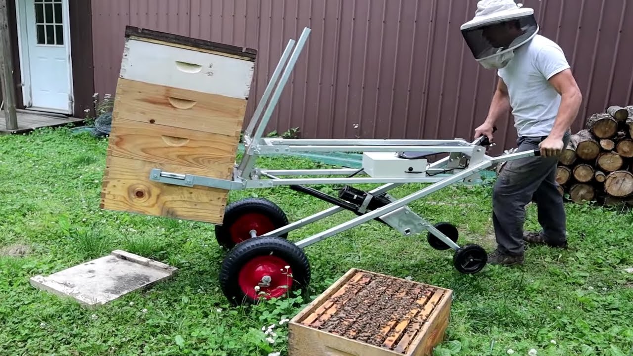 Honey Production with a Single Brood Nest.