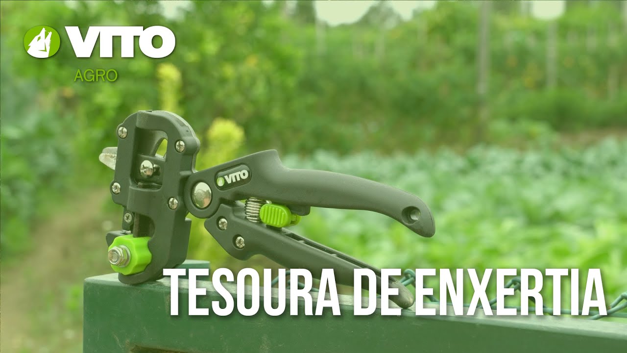 Tesoura de enxertia - Vito Agro