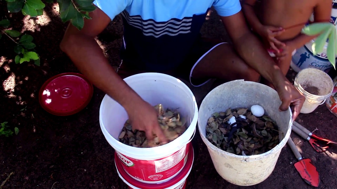 COMO FAZER COMPOSTEIRA CASEIRA COM BALDES FÁCIL.