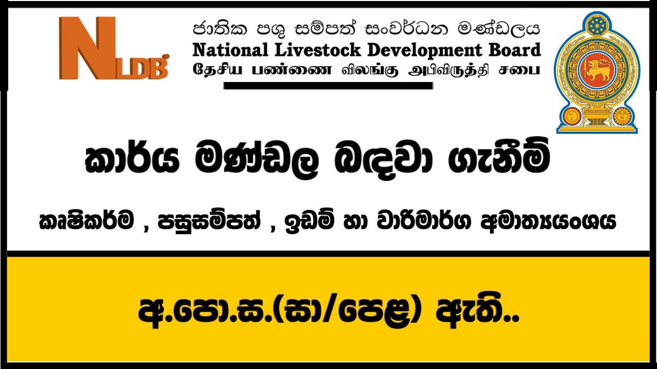 රජයේ රැකියා I Government Jobs in Sri Lanka I NLDB I JobFlix SL