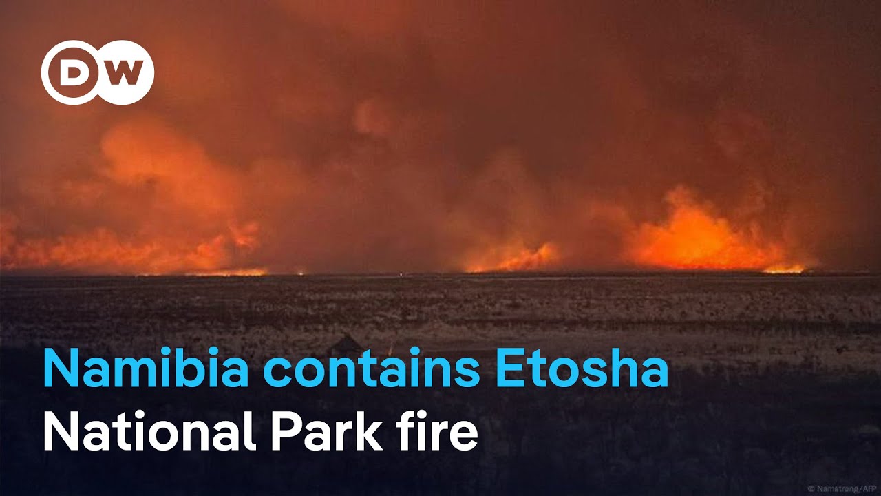 Etosha wildfire leaves vast damage &mdash; 34% of Namibia&rsquo;s top park burned.