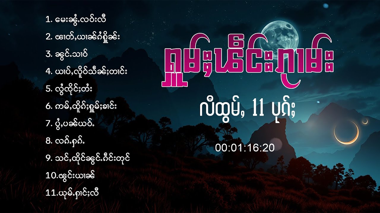 ႁူမ်ႈၽဵင်းၵႂၢမ်းလီထွမ်ႇ 11 ပုၵ်ႈ
