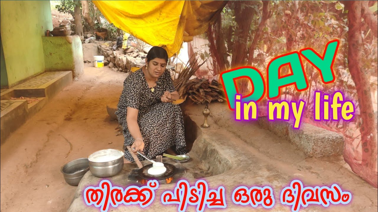 അടുത്ത വീട്ടിലാണ് കല്യാണം 😍നമ്മുടെ വീട്ടിൽ തിരക്ക് മാത്രം😍