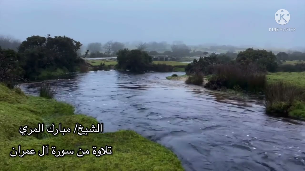 القارئ / مبارك المري / تلاوة من سورة آل عمران