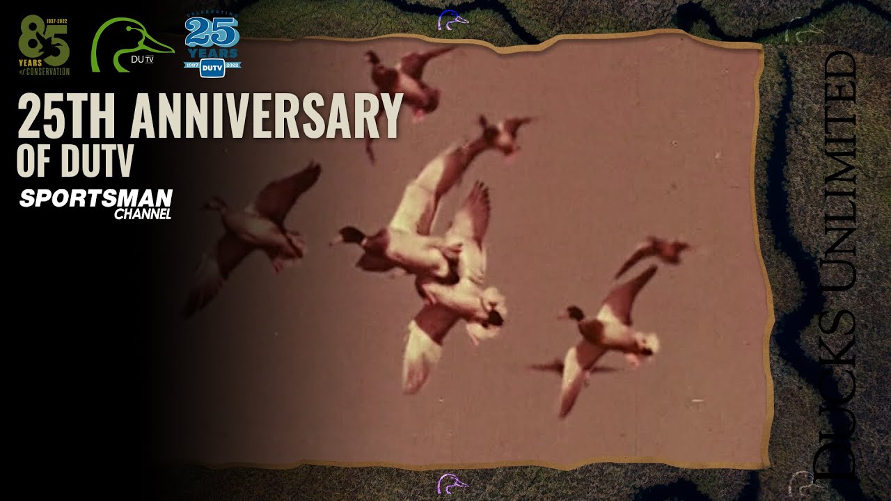 25th Anniversary Special | DUTV S25, E13