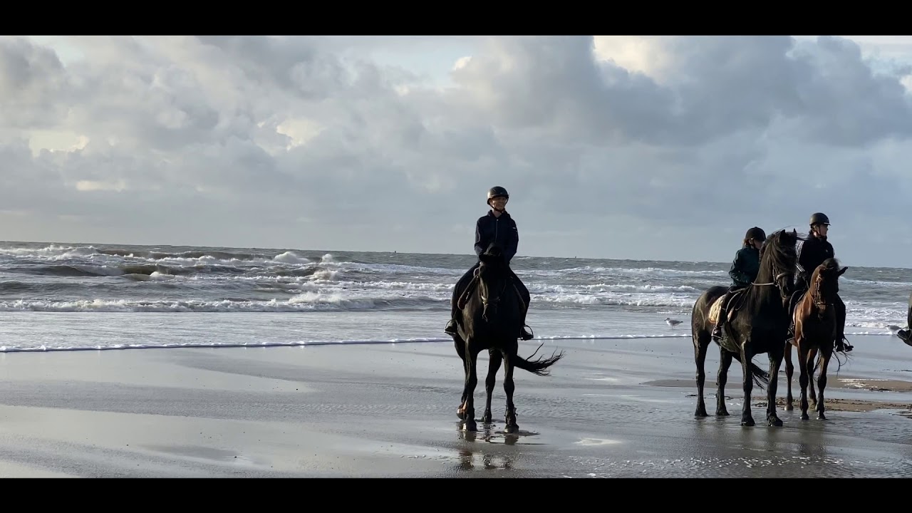 Buitenrit HD