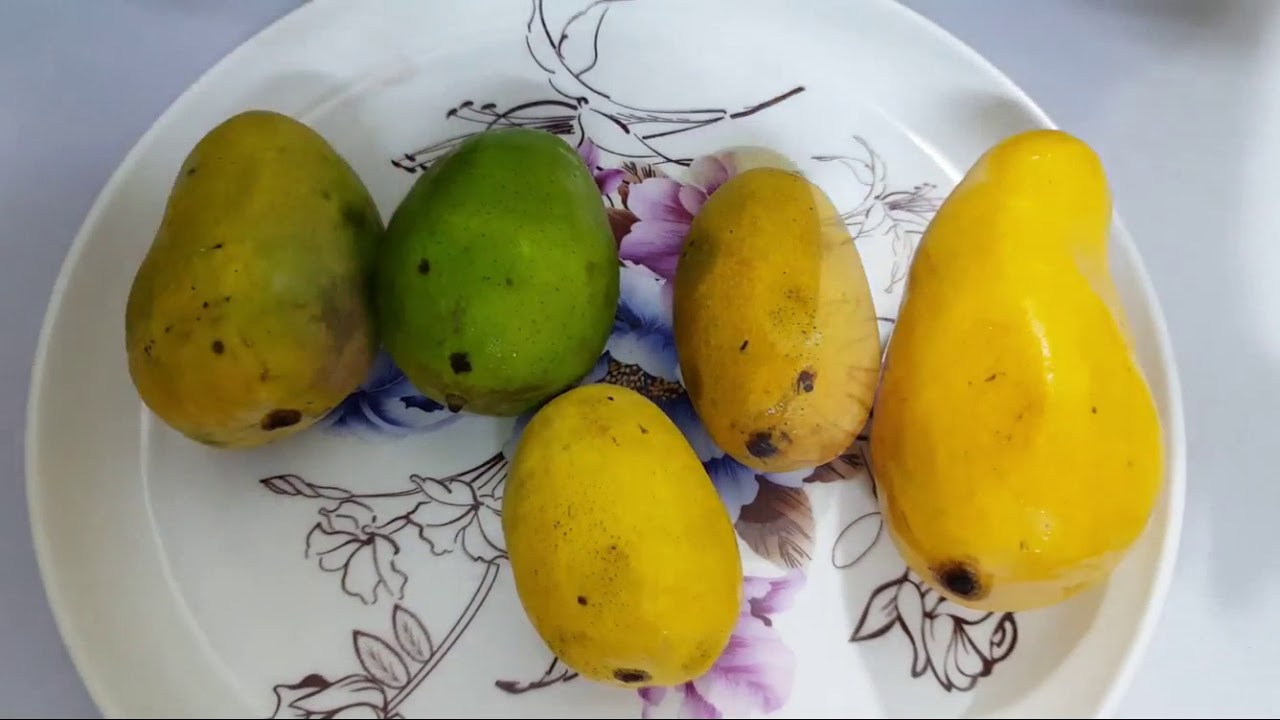 Types of Mangoes in Pakistan - Five Magnificent Pakistani Mangoes