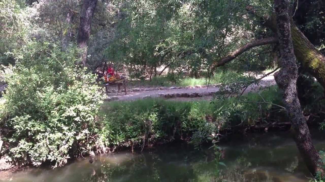 AIN VITEL PETITE RIVIERE ET MINI CHUTE A IFRANE MAROC VIDEO HD I PHONE 5