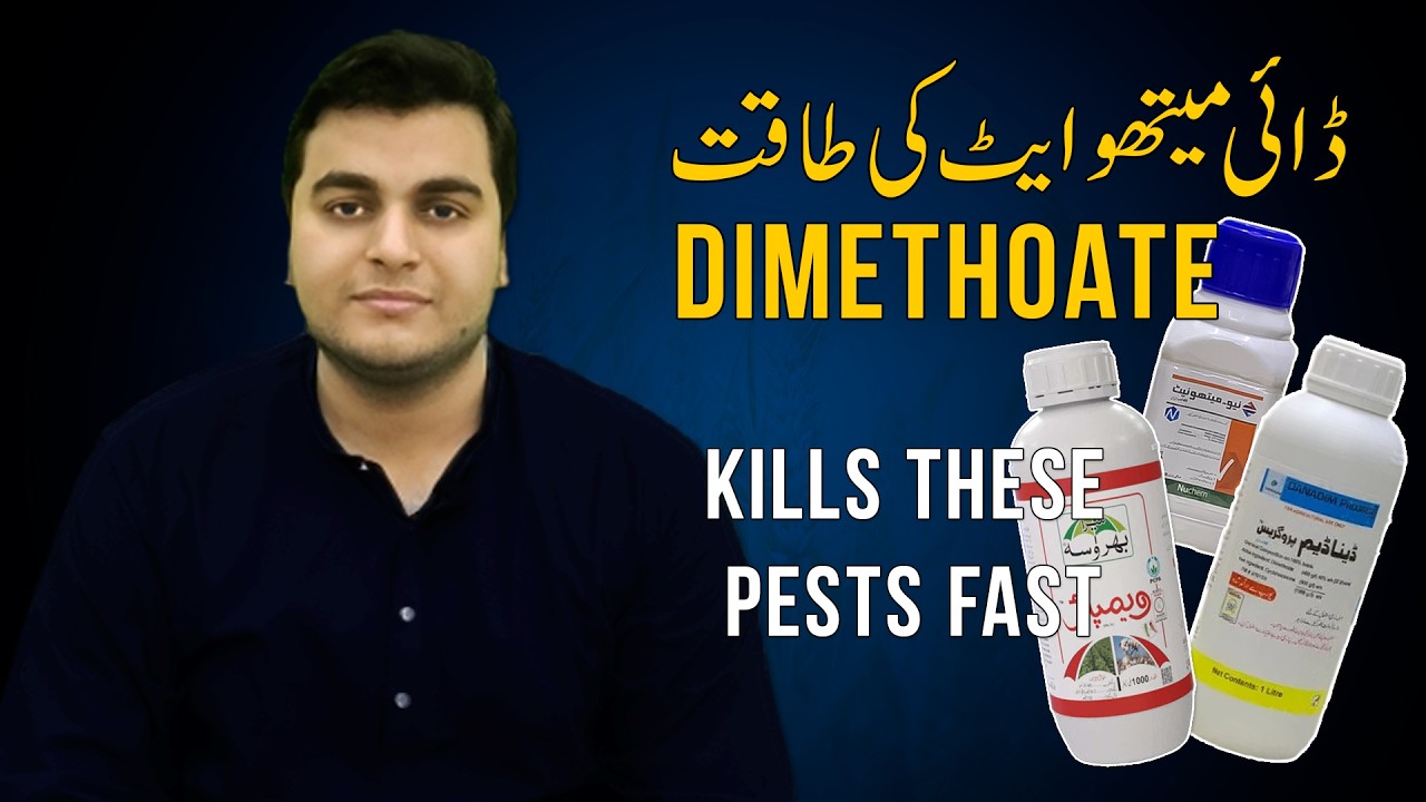 Dimethoate: The Ultimate Farmer's Guide to Using This Powerful Insecticide for Pest Control