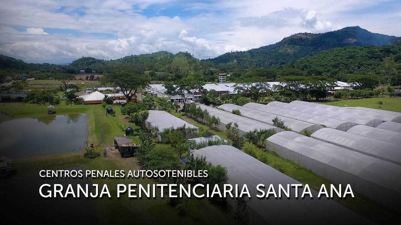 GRANJA PENITENCIARIA DE SANTA ANA PARTE DE LOS CENTROS PENALES AUTOSOSTENIBLES