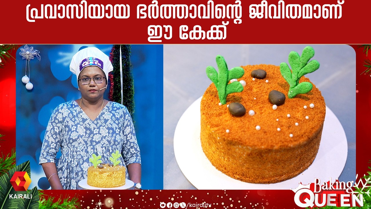പ്രവാസിയായ ഭർത്താവിന്റെ ജീവിതമാണ് ഈ കേക്ക് |  Russian Honey cake Recipe malayalam | honey cake