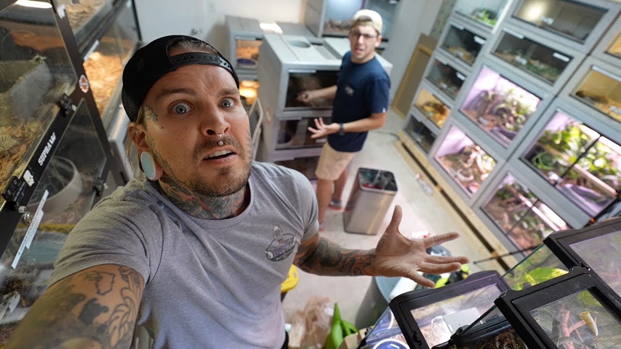 My Venomous Snake Room is a Disaster!!!!