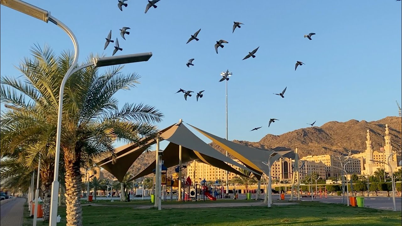 #حديقة