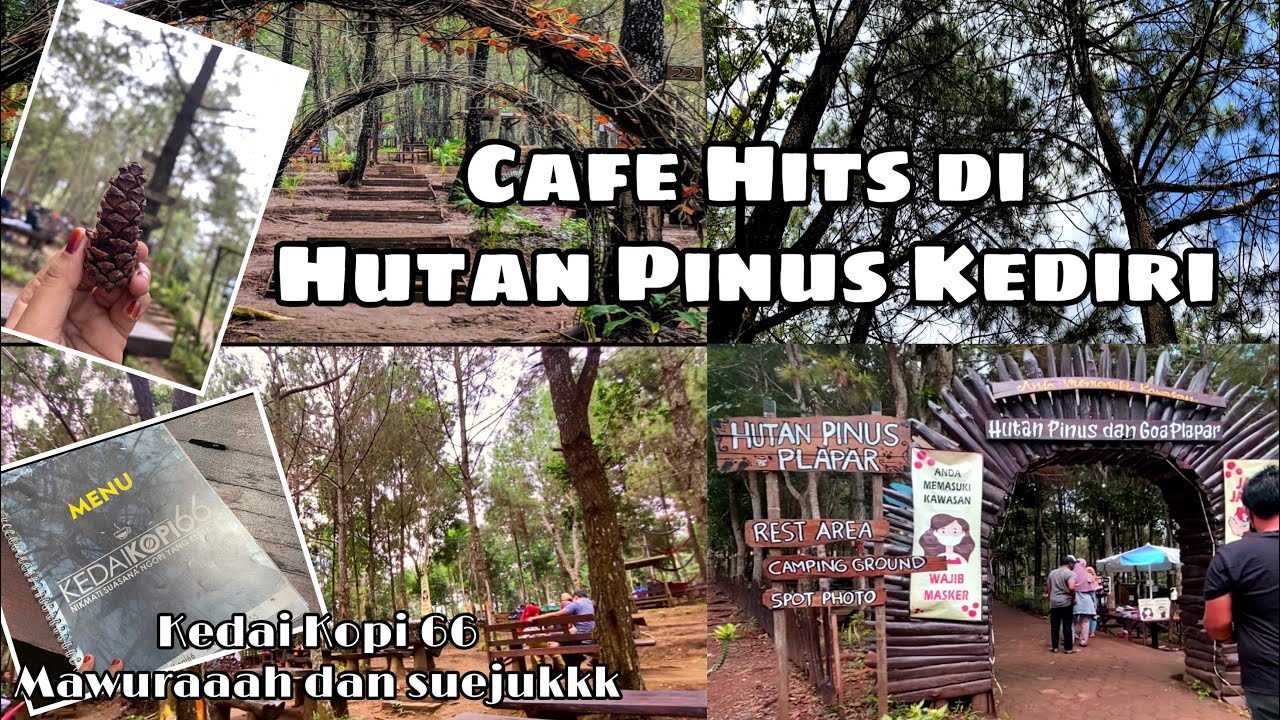 KEDAI KOPI 66 KEDIRI | Cafe Viral di Hutan Pinus Kediri