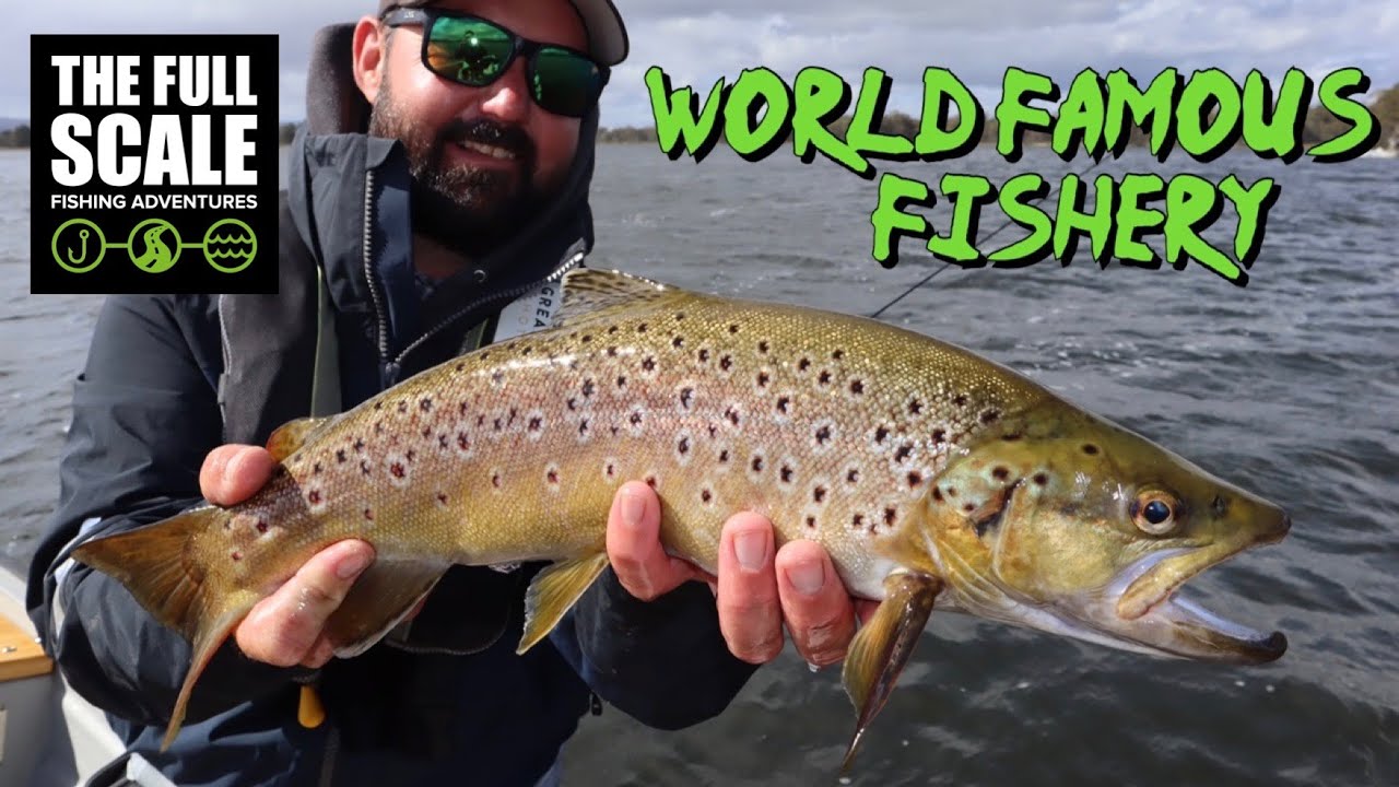 World Famous Fishery | Penstock Lagoon Tasmania | The Full Scale