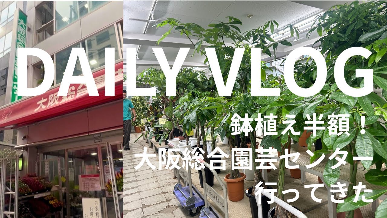 ＼鉢植え半額／大阪総合園芸センター行ってきた【観葉植物探しVLOG🌿】