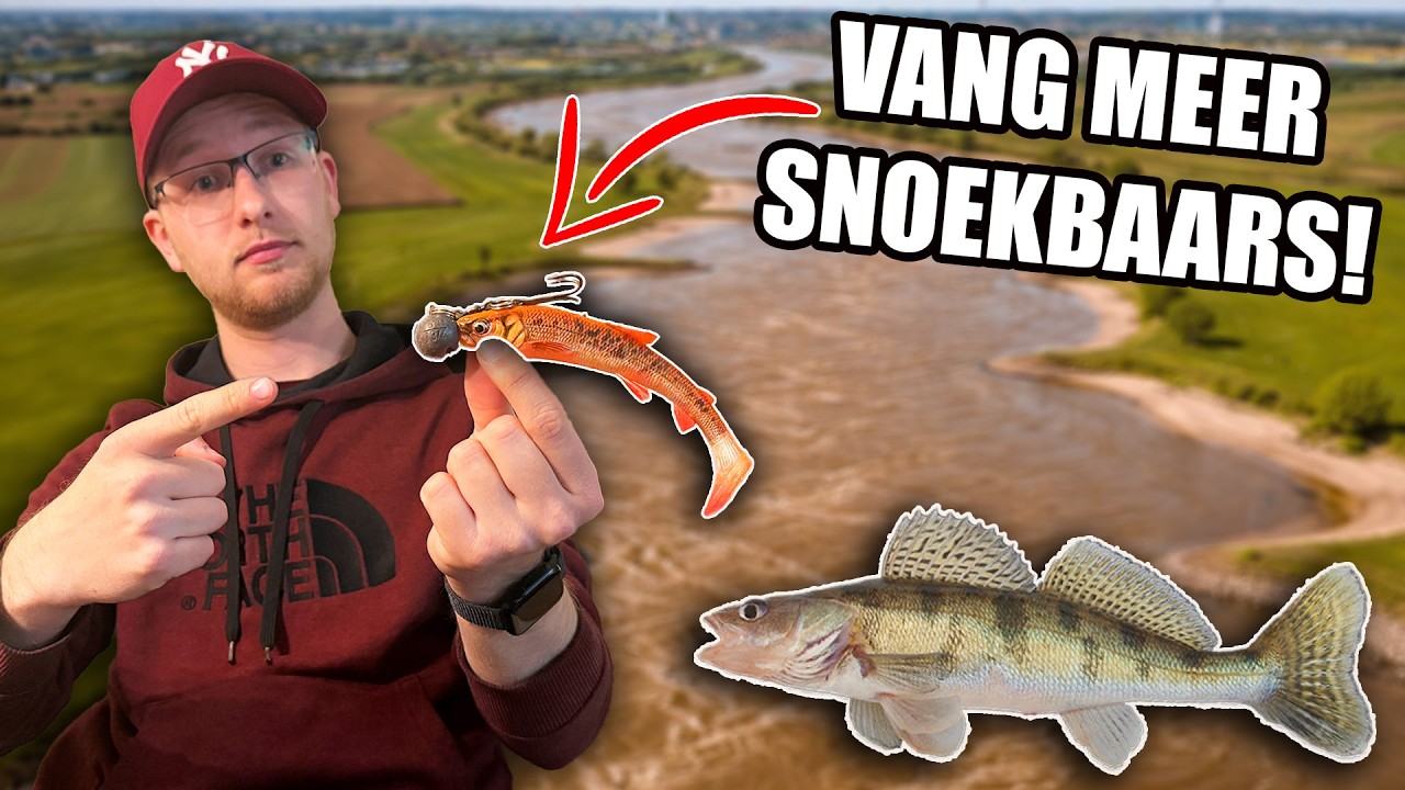 VANG MEER SNOEKBAARS MET DEZE TECHNIEK! 💥