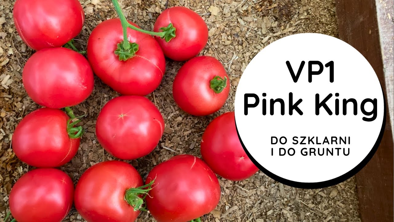 👑 КОРОЛЬ МАЛИНЫ 🍅 Розовый Кинг VP1, ВКУСНЫЙ 😙👌 глубокий вкус, стойкий, малина СТЕЙК ИЗ ГОВЯДИНЫ