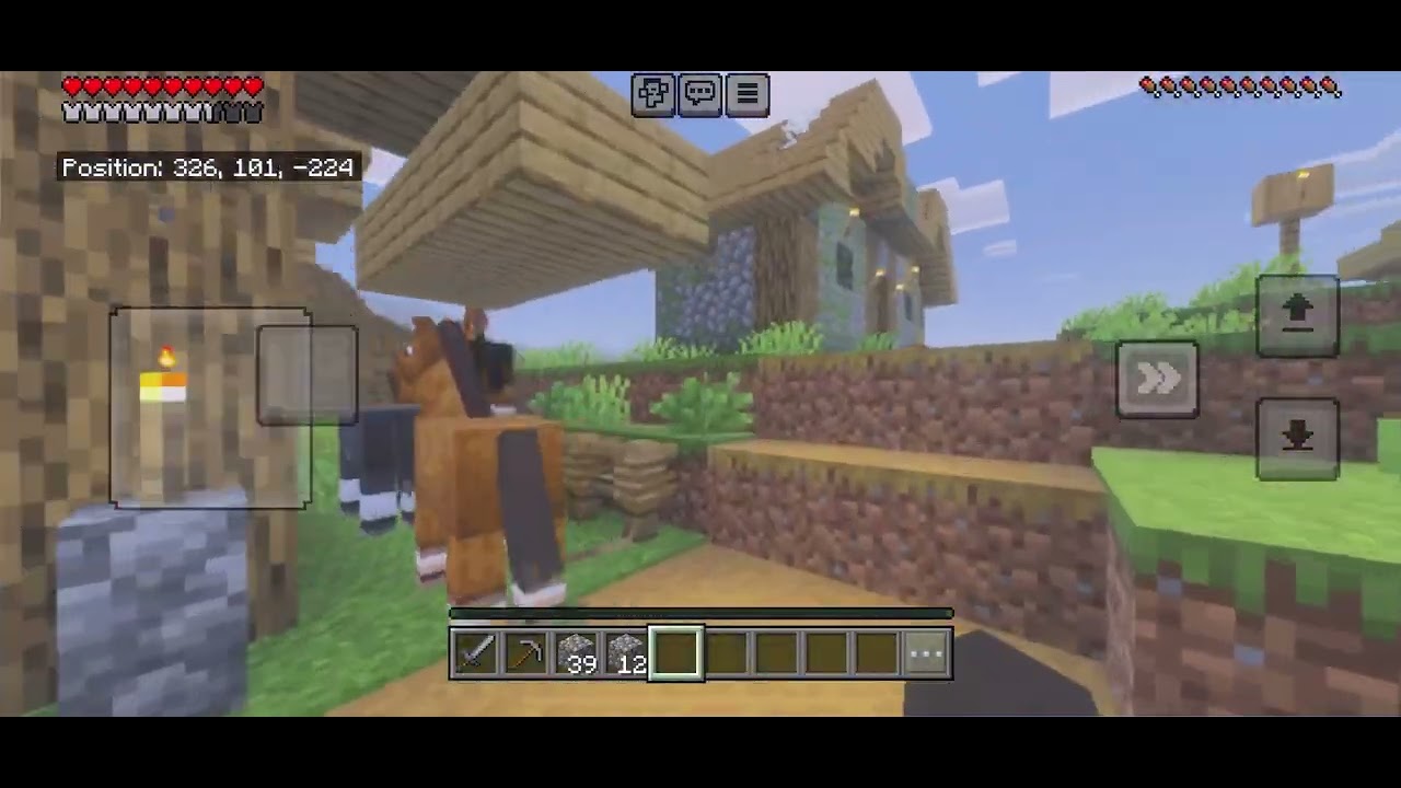 Playing mincraft with friends