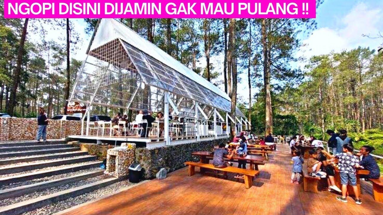Warung Kopi Gunung Cikole Lembang‼️Tempat Ngopi di Lembang Tengah Hutan‼️
