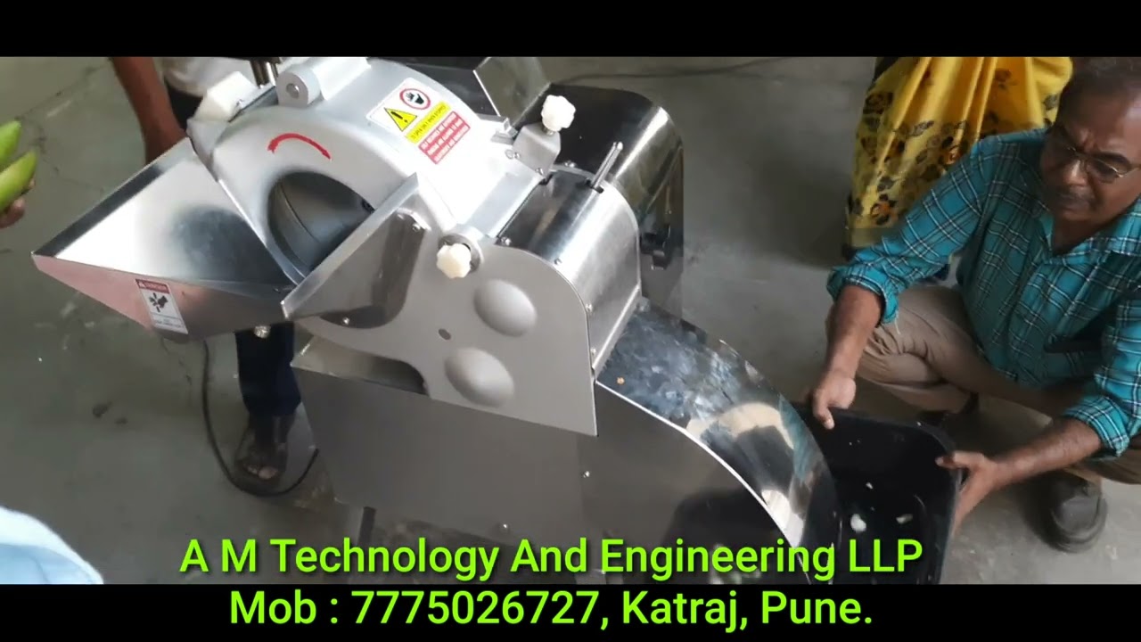 Raw Mango Cube Cutting Machine