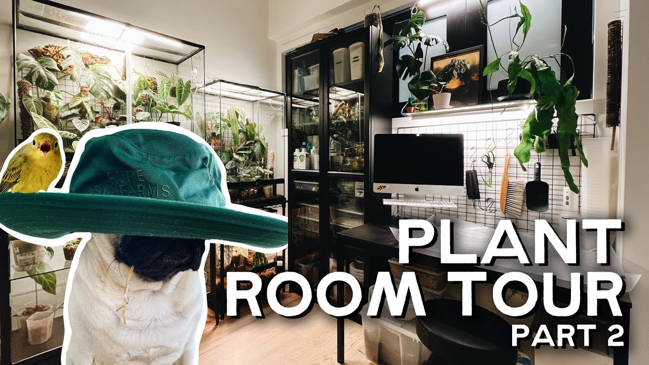 (another very long) plant room tour - PART 2
