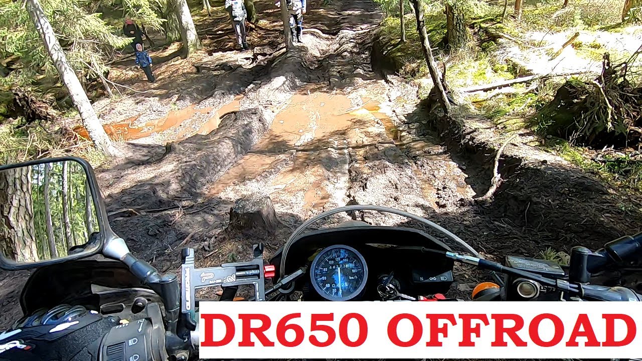 OFFROAD WITH SUZUKI DR650 & F800GS #2
