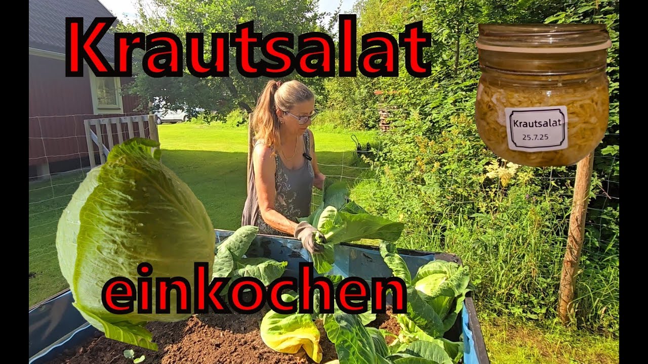 Krautsalat einkochen - gesunder Genuss das ganze Jahr über. Schnell & einfach