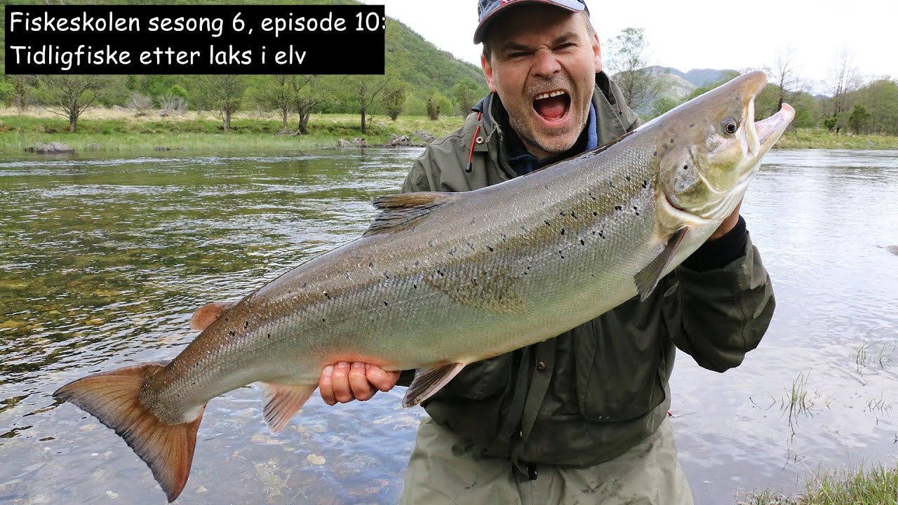 Fiskeskolen sesong 6, episode 10: Tidligfiske etter laks i elv