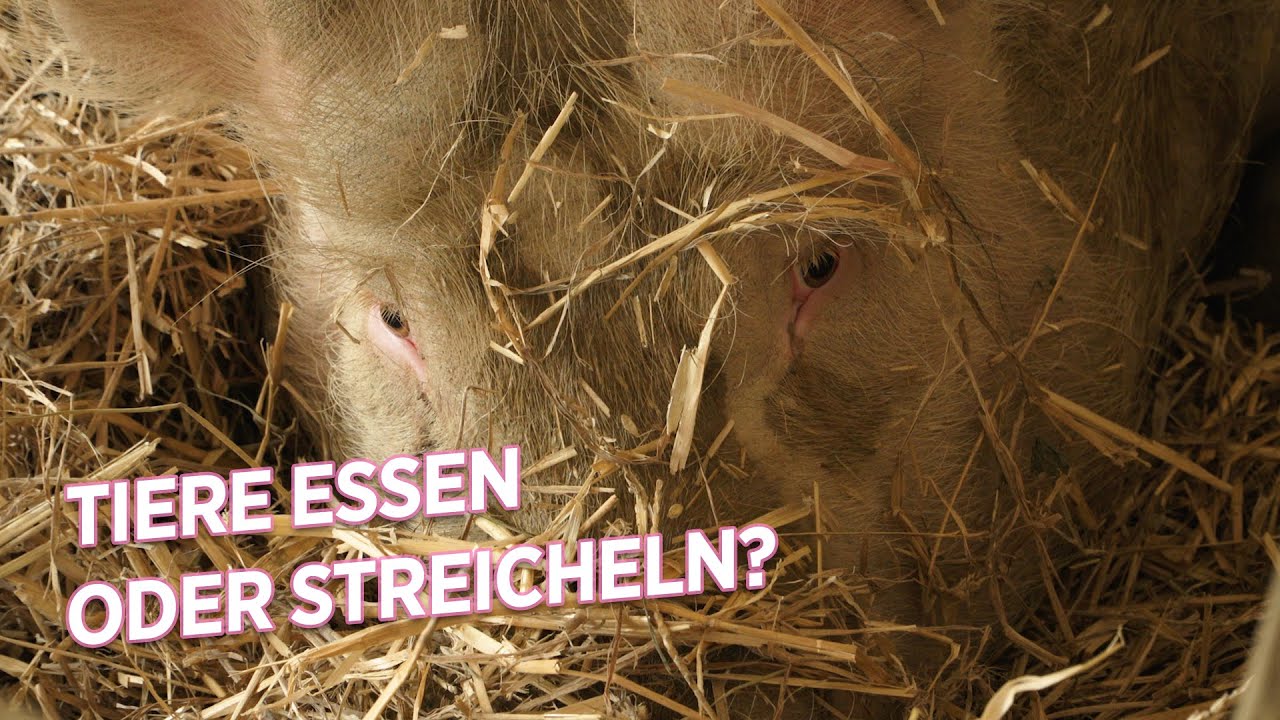 «Bildungsarbeit hilft den Tieren am meisten»