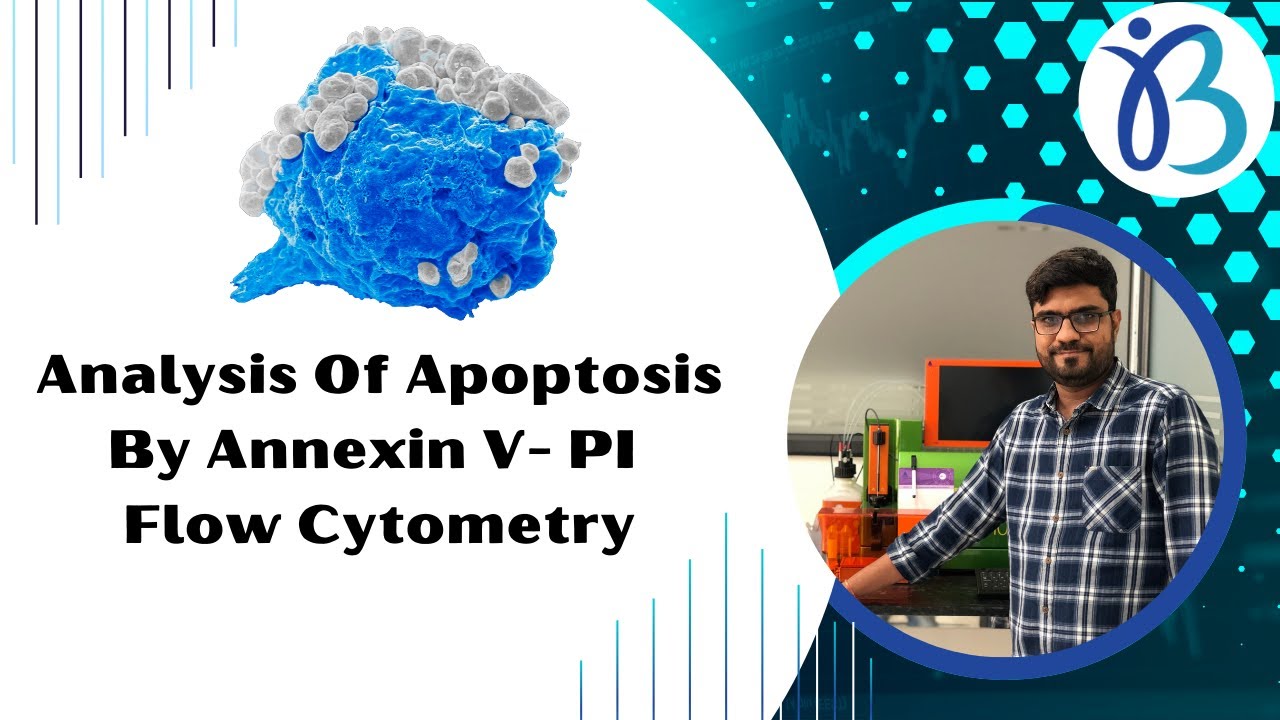 Analysis Of Apoptosis By Annexin-PI Flow Cytometry