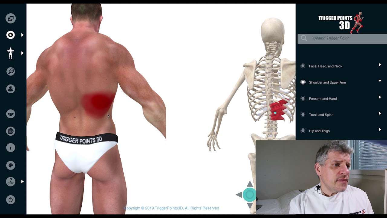 Serratus Posterior Inferior - Trigger Point of the Week