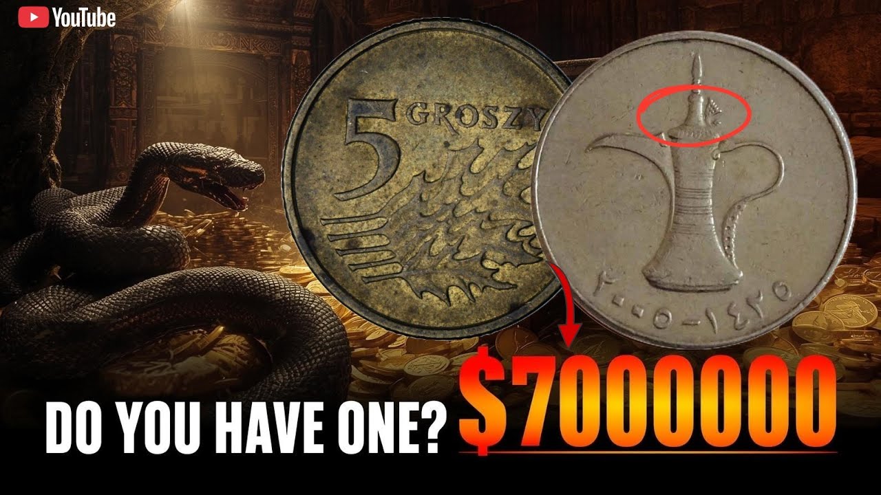 5 Groszy & One Dirham Coin Worth $7,000,000+ 😱 | Rare Coins That Can Make You Rich