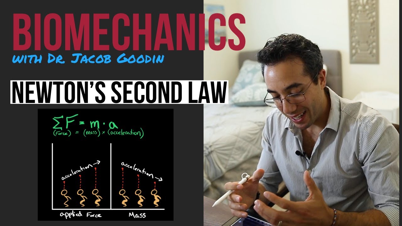 Биомеханика и второй закон Ньютона