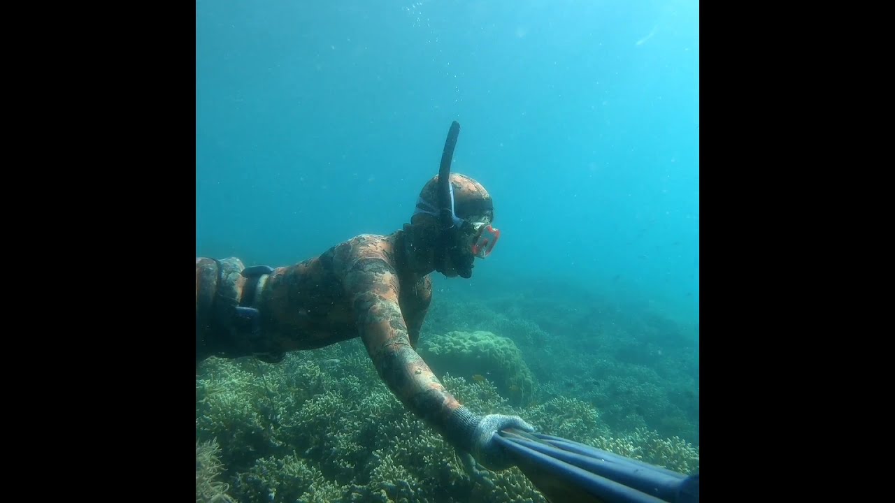 Spearfishing in Pindasan Mabini, Davao de Oro Philippines