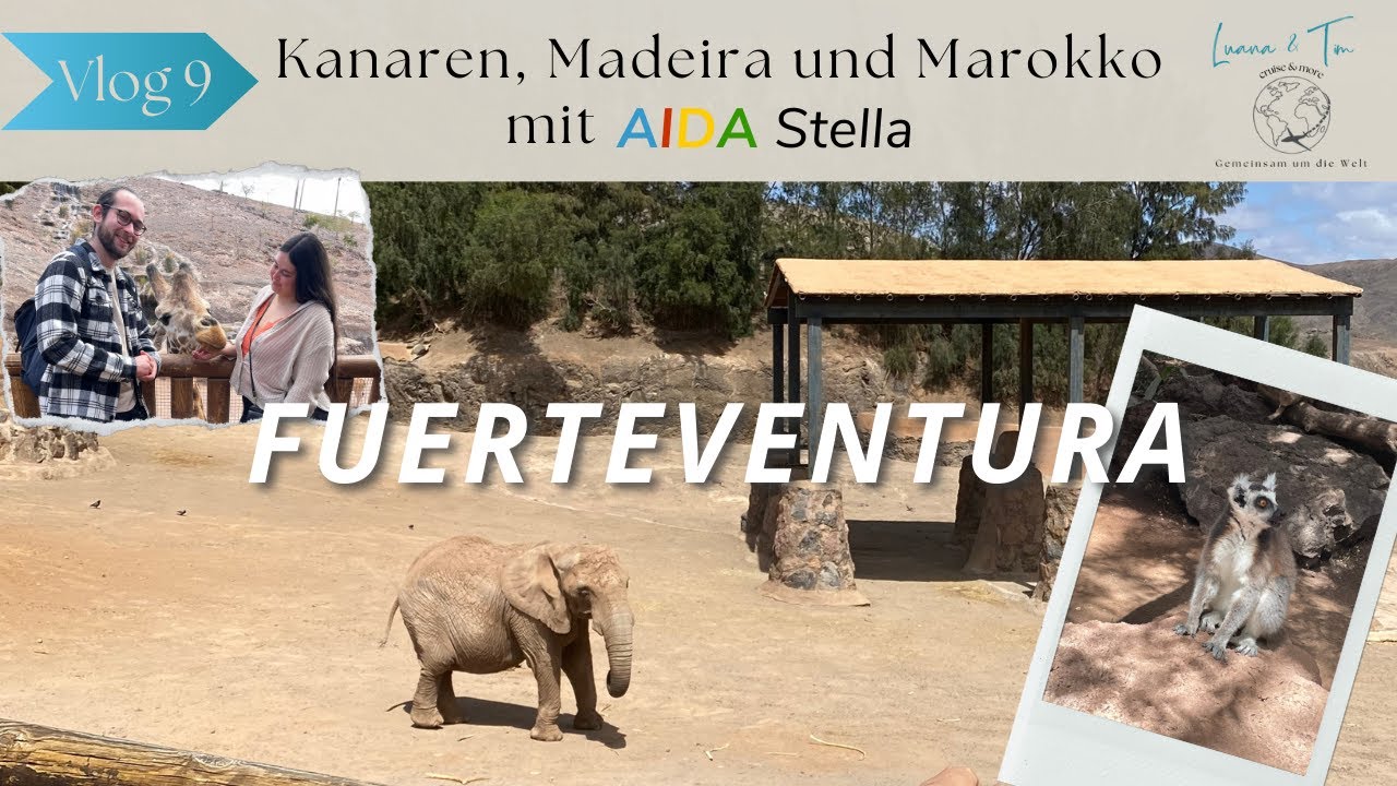 Kanaren, Madeira und Marokko mit AIDA Stella - VLOG 9: Fuerteventura - Oasis Park