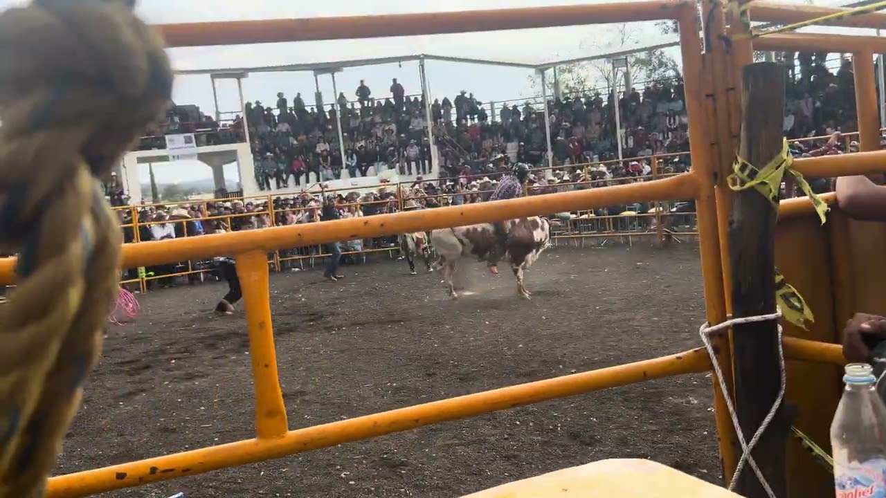 Huaniqueo 2/4/26