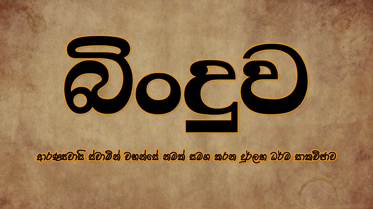 බිංදුව | ආරණ්‍යවාසී ස්වාමීන් වහන්සේ නමක් සමග පවත්වන දුර්ලභ ධර්ම සාකච්ඡාව