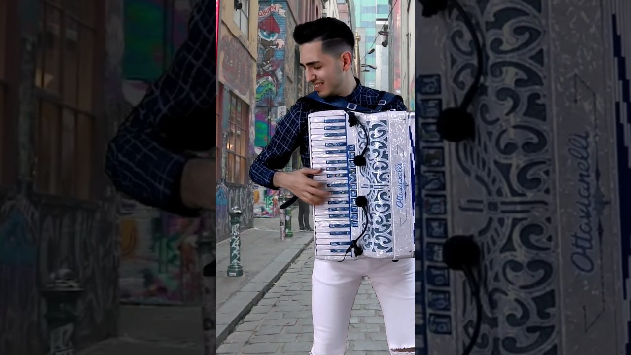Le Onde del Danubio (1&deg;parte) | #valzer  #fisarmonica #accordion