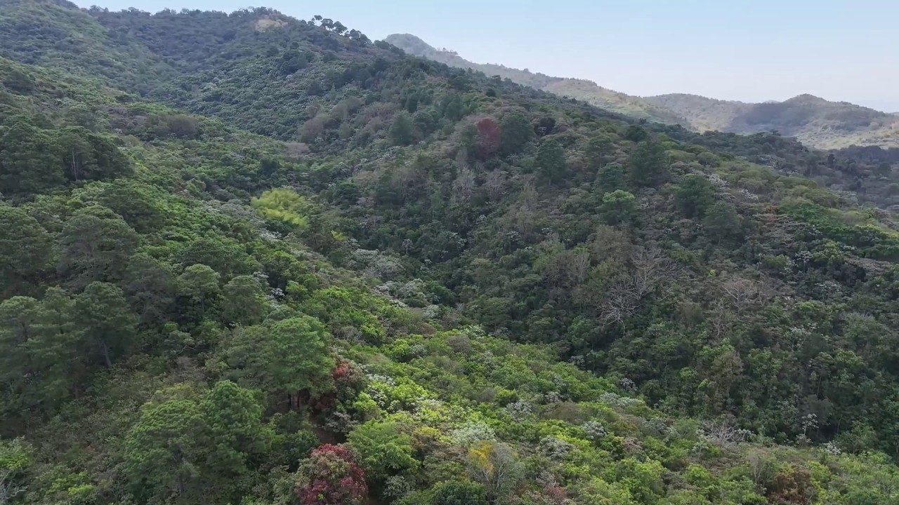 FAO impulsa planes de mitigación en el oriente del país
