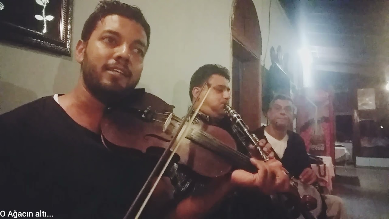 Kemancı Coşar (O ağacın altı)