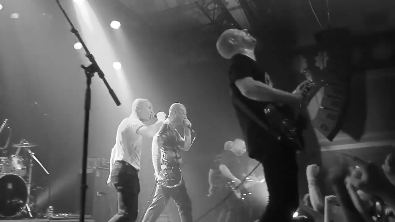 LION'S LAW “Zonard”