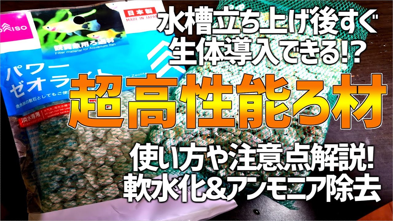 速攻で水の有害物質を除去する超安い化学ろ材！困った時はコレ！#44【アクアリウム】