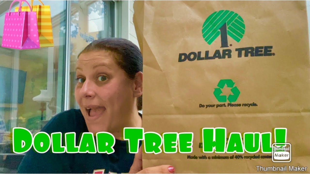 Big Dollar Tree Haul! 🛍️ plus bonus footage! March 27, 2025