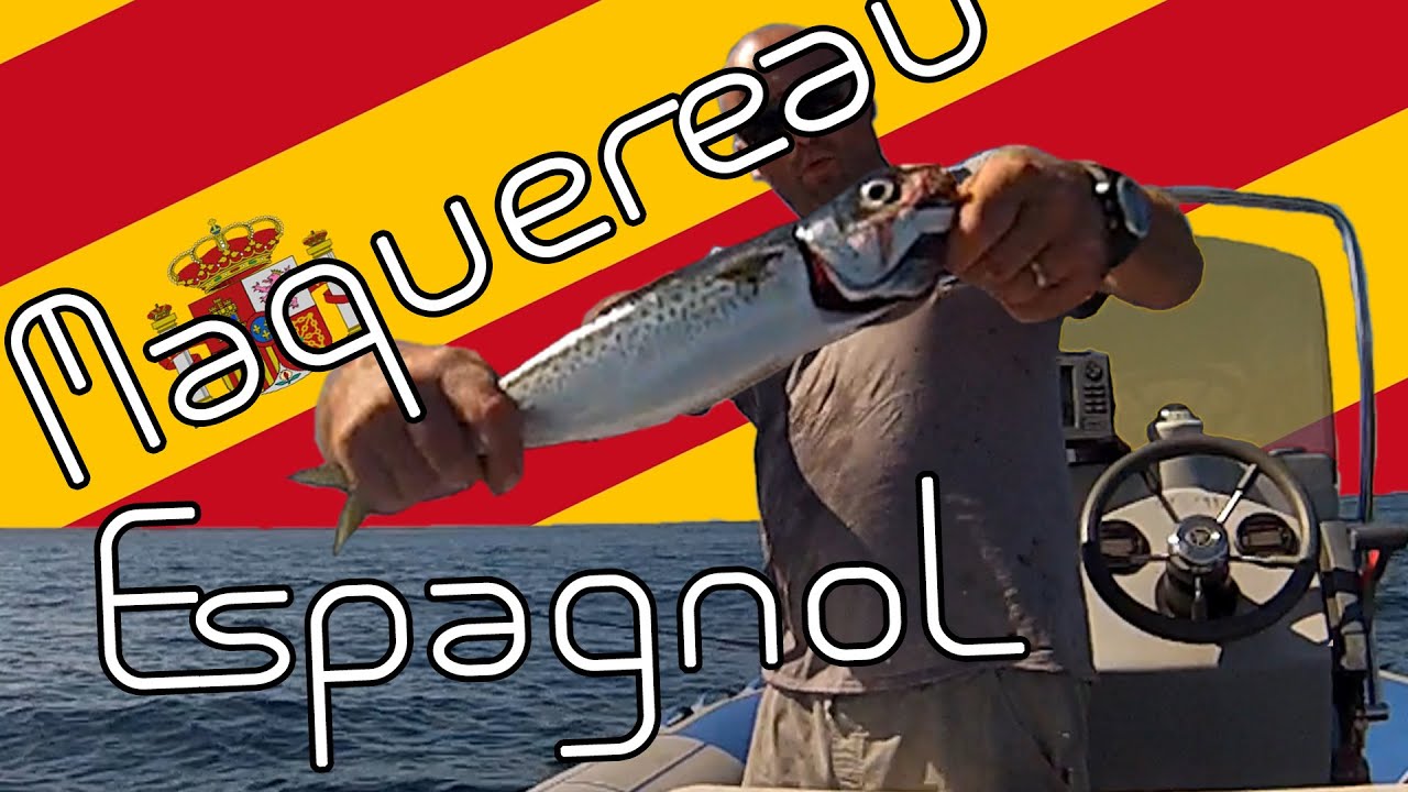 Pêche en mer - Sortie au maquereau Espagnol ... (+ vues sous marine) HD